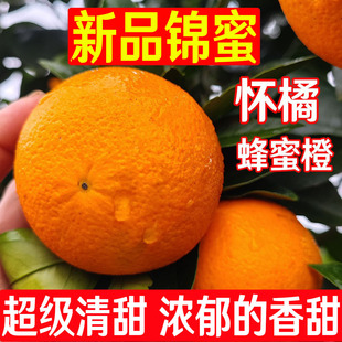 清甜怀橘1号冰糖橙 麻阳锦蜜超甜新鲜水果湖南甜橙柑子橙子5/10斤