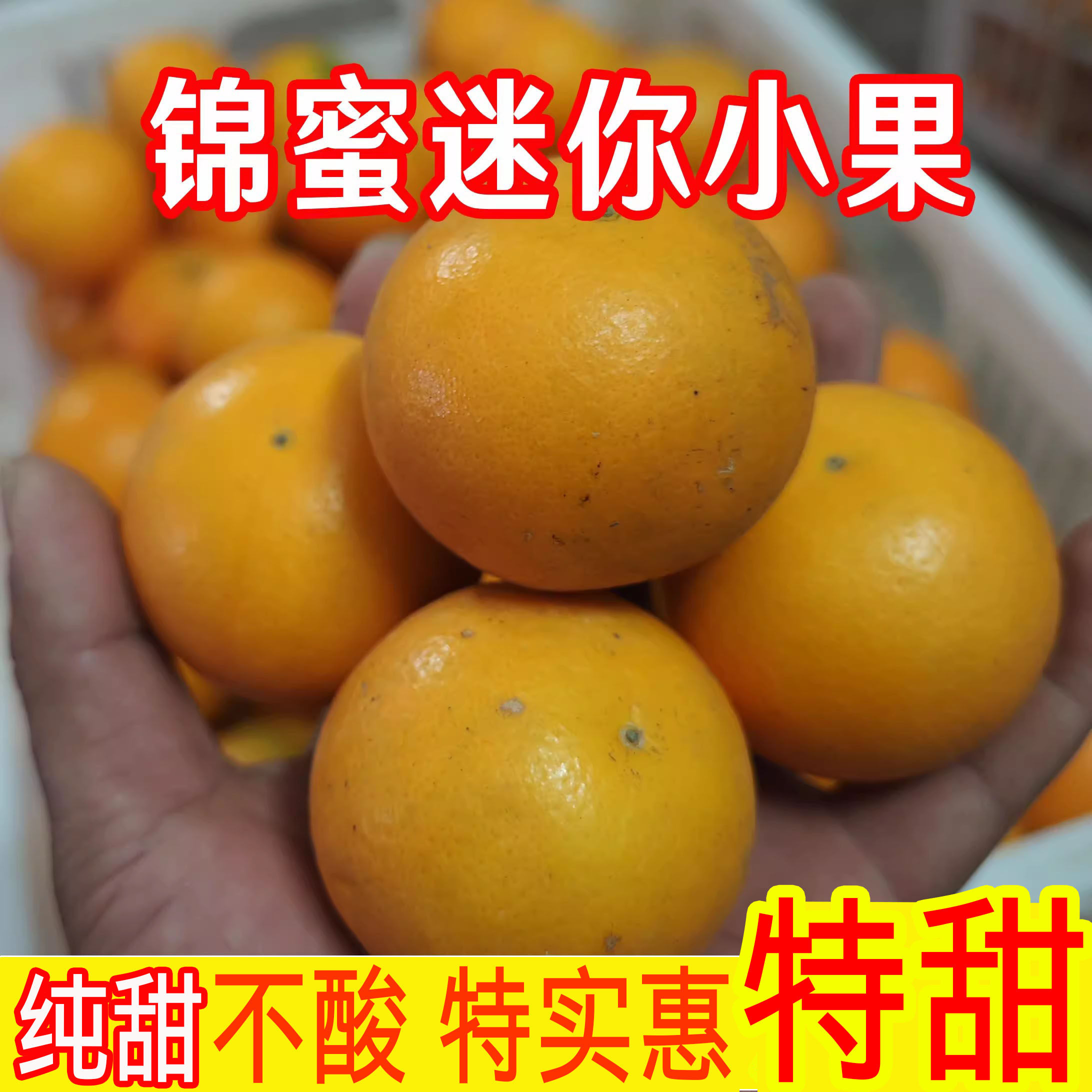 锦蜜甜橙迷你小果 正宗湖南麻阳冰糖橙子新鲜水果当季现摘