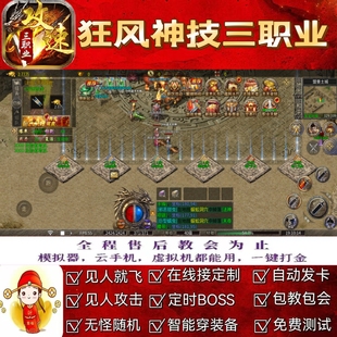 狂风神技三职业脚本财神辅助自动引怪无怪换图遇人随机自动打BOSS