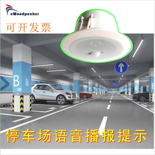 仓库无人值守安防提示感应吸顶音箱自动提示播放器厂家直销MO14-3