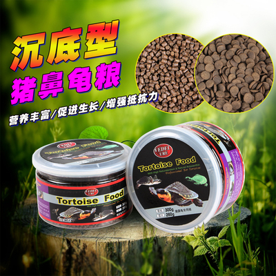 下沉型黄头侧颈忍者专用猪鼻龟