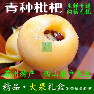 苏州西山青种枇杷新鲜大果现摘超甜礼盒pk五星云南东山白玉白沙
