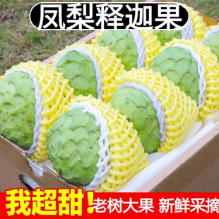 牛奶凤梨释迦5斤新鲜水果佛头牟尼果热带番荔枝孕妇当季整箱包邮