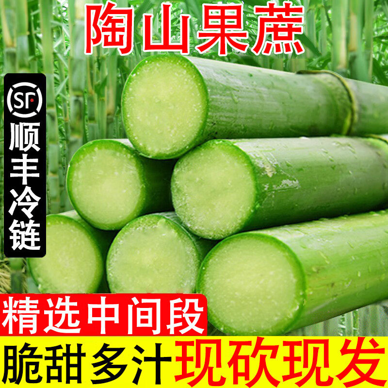 正宗陶山青皮甘蔗新鲜孕妇水果现砍5斤整箱绿皮甘蔗果蔗顺丰包邮