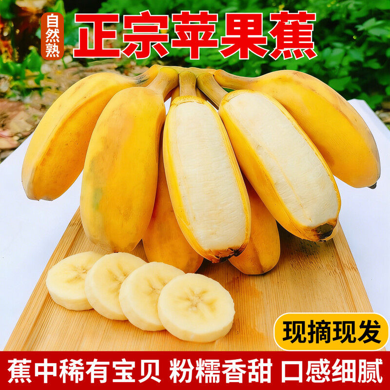 广西当季新鲜苹果蕉整箱