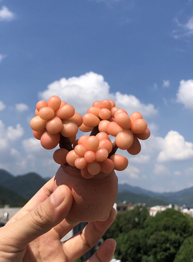 办公室多肉小盆栽可爱车载个性汽车装饰用公仔玩偶萌萌树脂纯手工