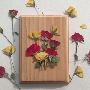 周周押花 侧面小玫瑰 红黄月季花 植物标本压花干花