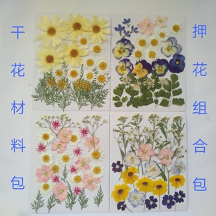 周周押花DIY花材包 树叶植物标本滴胶拍摄道具幼儿园手工花贴画