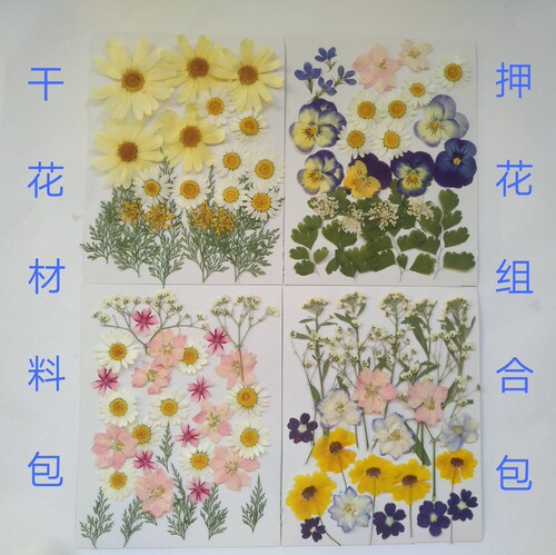 周周押花diy花材包树叶植物滴胶