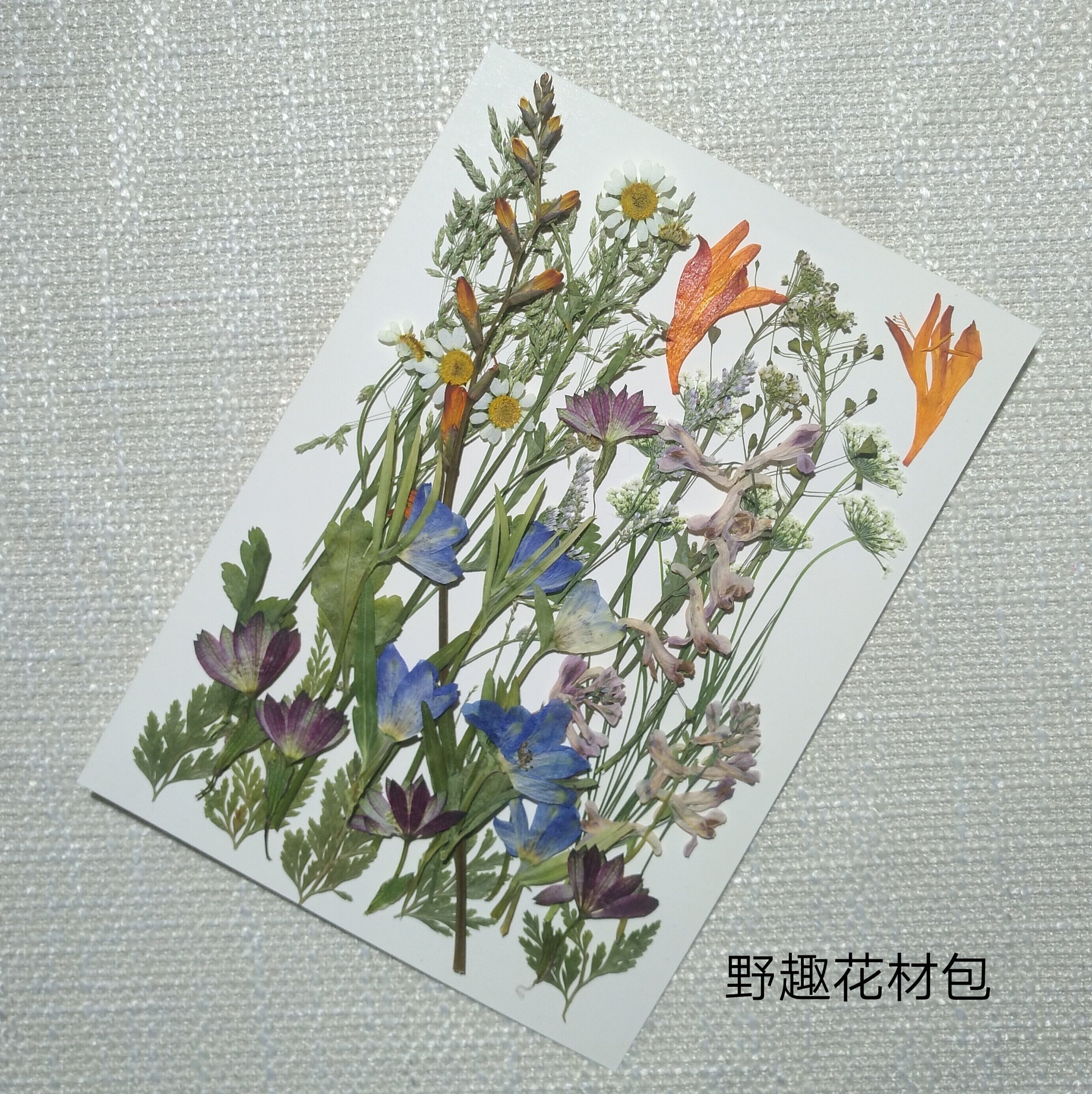周周押花 蕾丝飞燕混花材包 压花真花野趣田园植物标本干花装饰