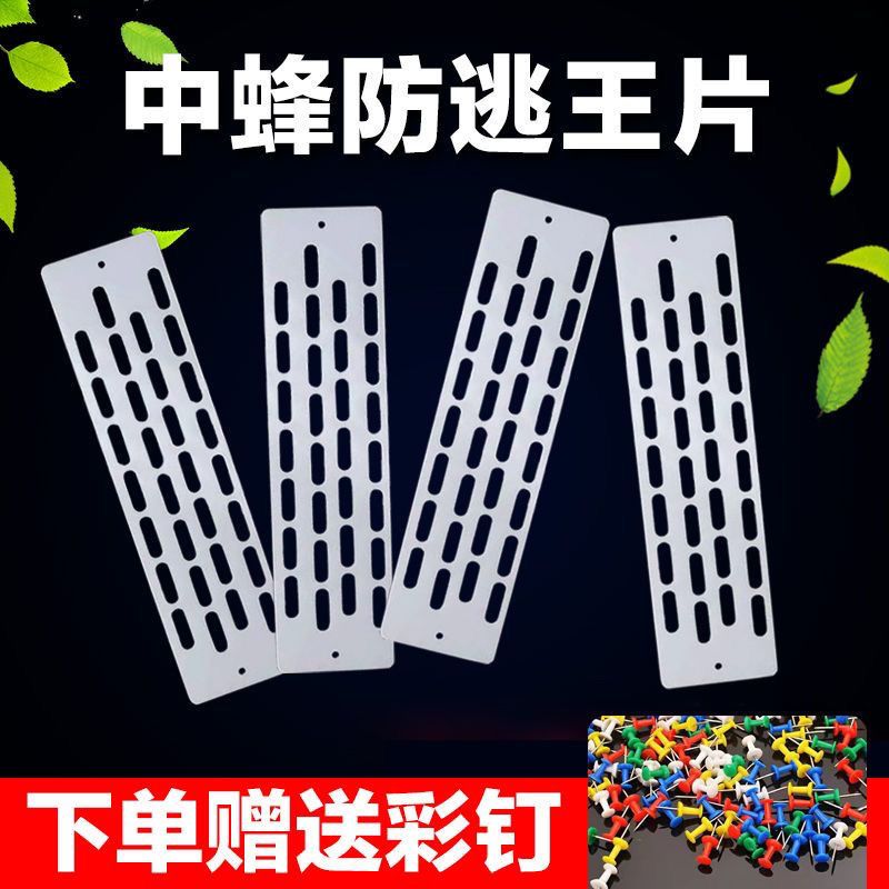 防逃片中蜂防跑王片养蜂工具蜂箱蜂王防跑片防盗蜂隔王片塑料包邮