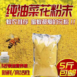 新鲜 蜂花粉养蜂蜂粮纯天然蜜蜂饲料喂中意蜂专用油菜花食用正品