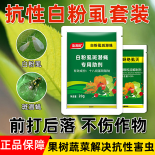 盈满田抗性白粉虱斑潜蝇专用蔬菜果树大田通用前打后落专用助剂