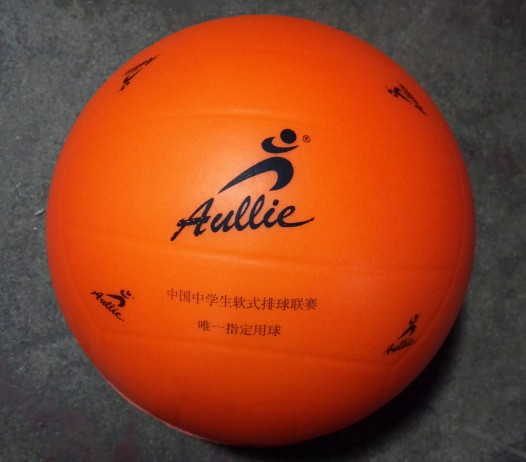 Ballon de volley-ball - Ref 2010380 Image 1