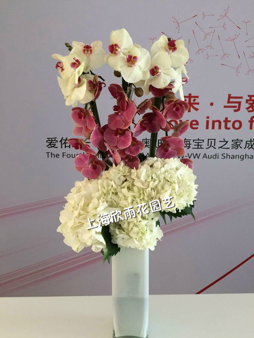 前台花 会议鲜花 签到台花 绣球桌花 艺术瓶花 上海鲜花同城速递