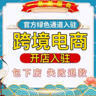 店铺一对一运营陪跑远程语音指导 新手入驻咨询店铺上架选品