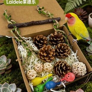 啃咬玩具盒耐咬解闷发泄鹦鹉鸟用品鹦鹉鸟益智啃咬自嗨磨牙耐咬