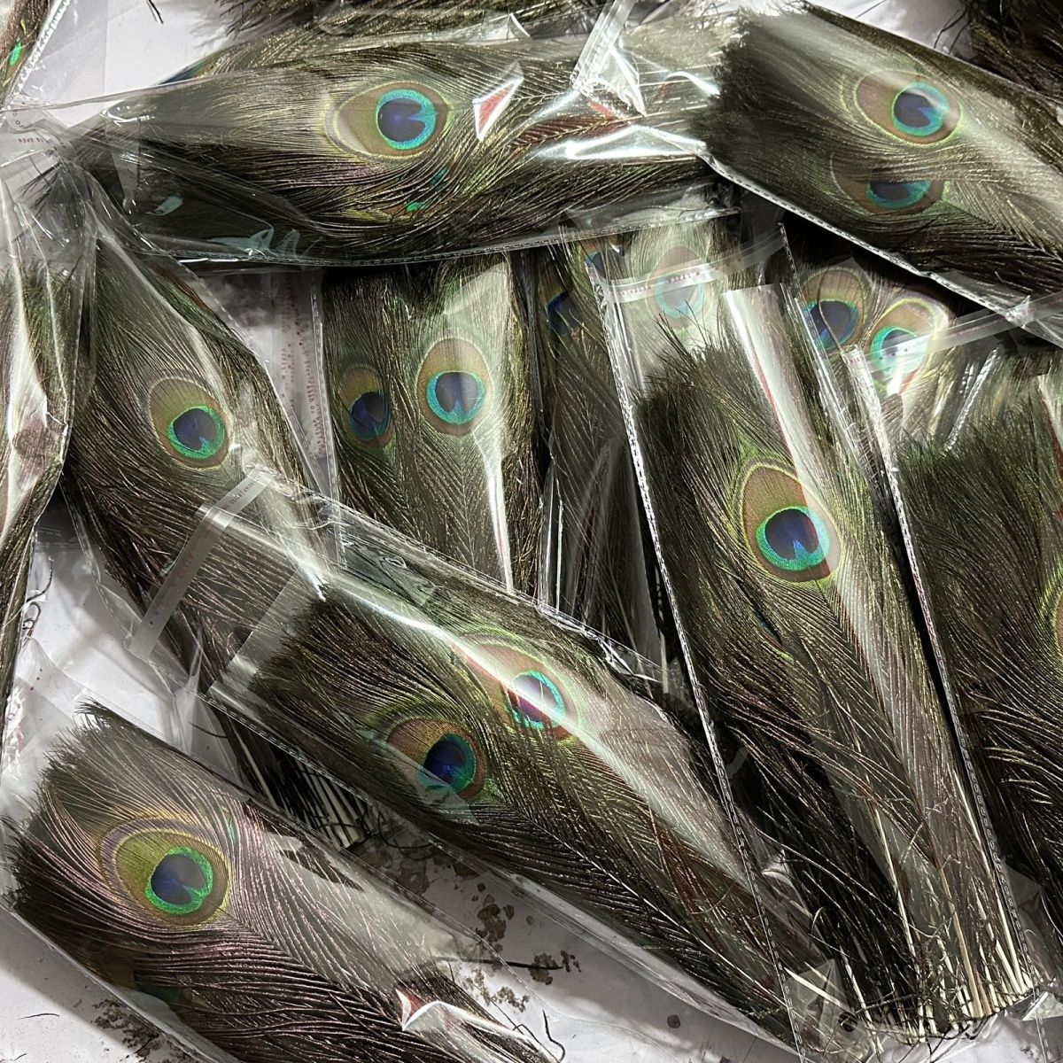厂家供应25-130厘米孔雀毛大眼睛羽毛插花瓶花耳环饰品孔雀羽毛扇