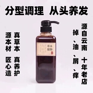 源本青云南养发护发清洁洗发植物儿童控油去屑止痒草本姜脱无硅油