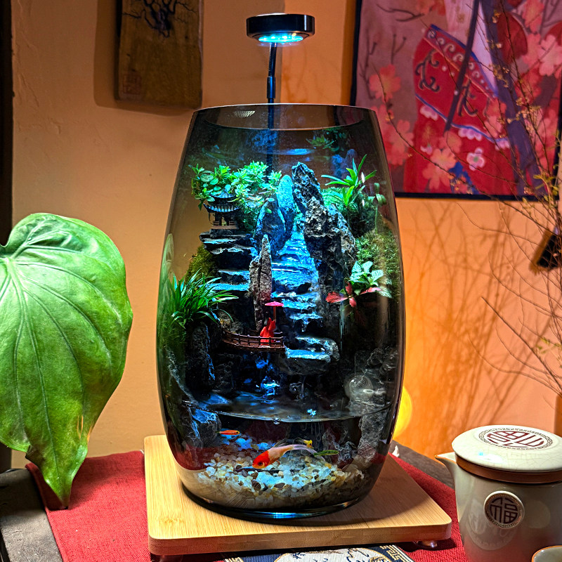 【紫气东来】养鱼缸真植物苔藓微景观生态瓶办公室室内送礼流水款