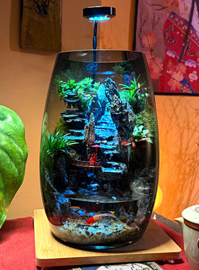 【紫气东来】养鱼缸真植物微景观
