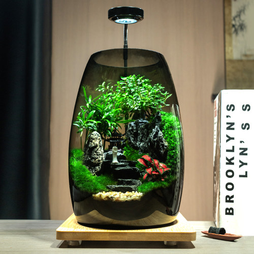 【生命之树】桌面苔藓微景观