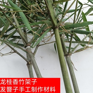 龙挂香竹架成品半成品竹子原材料发簪手工diy制作仿真布景装 饰