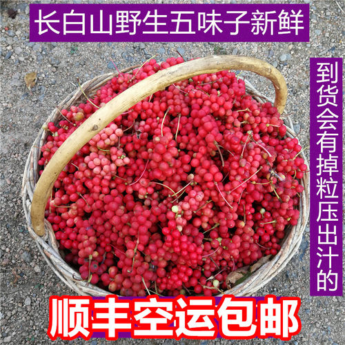 长白山北五味子冷冻包邮顺丰