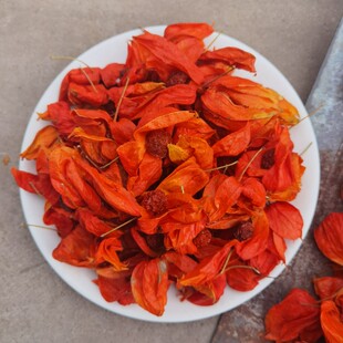 长白山野生红姑娘锦灯笼苦姑娘果皮一体干货100克泡水药用包邮