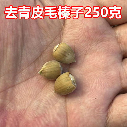 长白山毛榛子产地直发