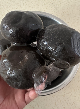 正宗东北大冻梨8斤包邮 大黑梨冻秋梨酸甜多汁苹果梨非市场梨漏