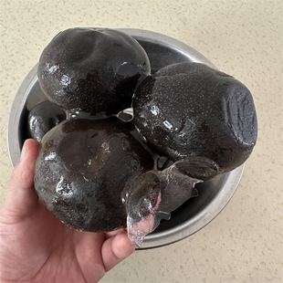 正宗东北大冻梨8斤 大黑梨冻秋梨酸甜多汁苹果梨非市场梨漏 包邮