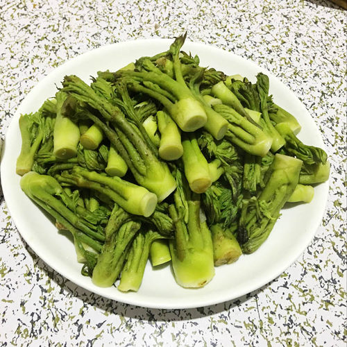 野菜新鲜刺老芽刺龙芽产地发货