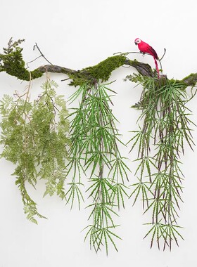 仿真植物枝条蕨类叶子