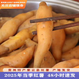 贵州特产紫云黄皮红薯香甜红心番薯地瓜红苕山芋拇指迷你小香薯