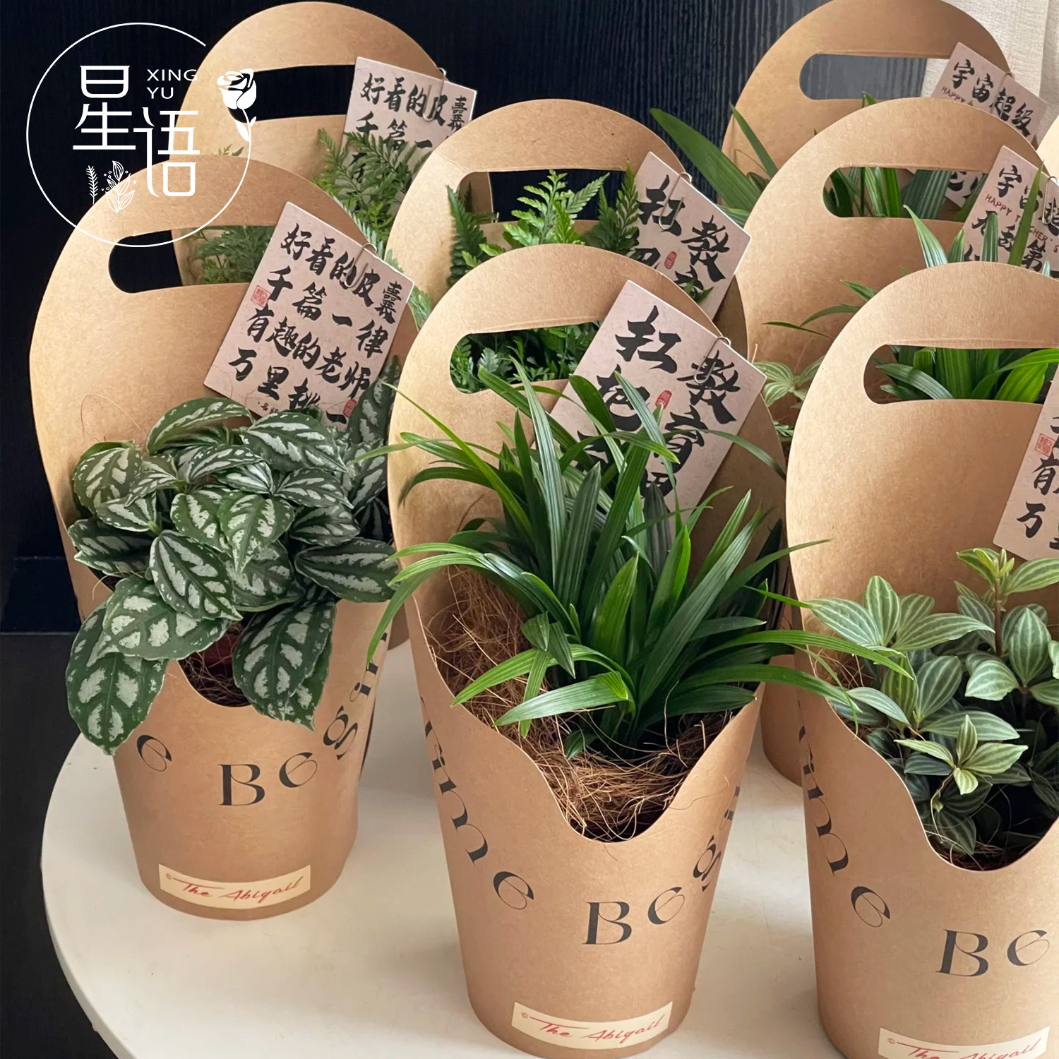教师节花礼diy鲜花手提盒盆栽盒