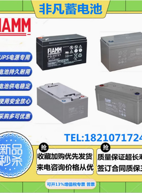 FIAMM非凡蓄电池12FGL1712V17AH55A70AH100AH120AH135A150AH205AH