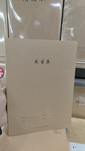 16k小学生读后感一二三四年级语文本子好词好句采蜜集阅读摘抄本