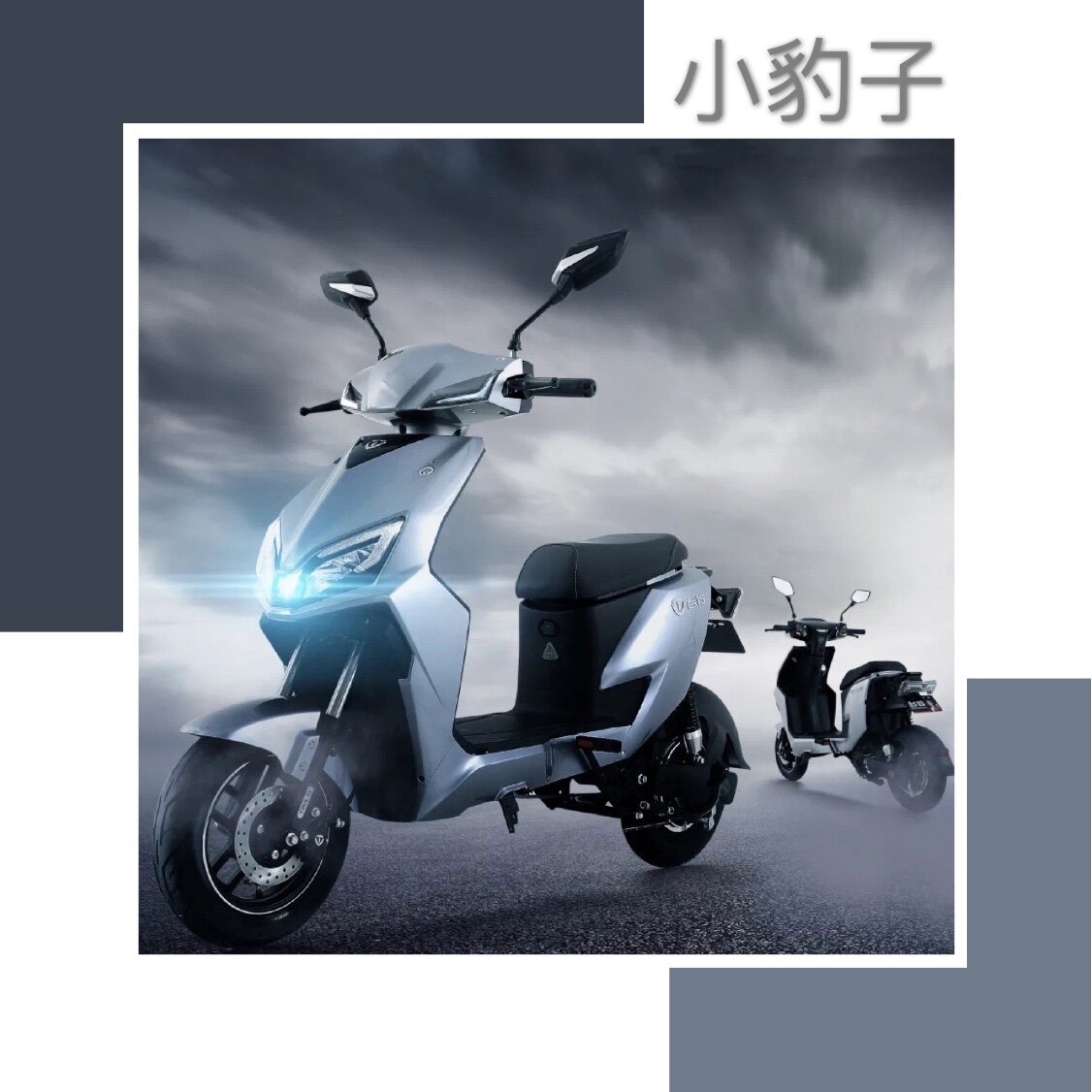 台铃电动车小豹子防晒防雨车衣车罩防尘罩保护套