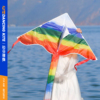 潍坊风筝大人专用彩虹新款儿童成人网红微风易飞风筝初学者风筝