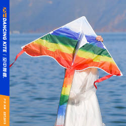 潍坊风筝大人专用彩虹新款儿童成人网红微风易飞风筝初学者风筝