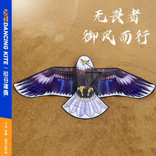 新款潍坊网红卡通老鹰风筝高档儿童手持微风易飞专业级大人专用
