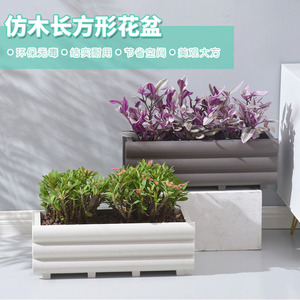 长方形花盆塑料现代简约植物多肉