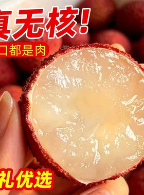 【中源果农】无核荔枝【顺丰冷链】头茬鲜果现采现发不泡水整箱
