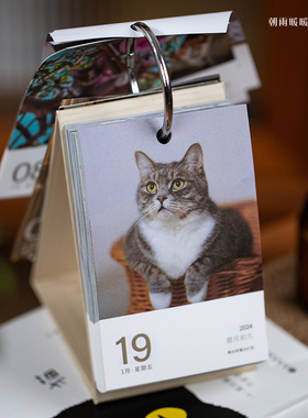猫咪日历2026/2024年可爱治愈动物一日一页倒计时台历桌面摆件