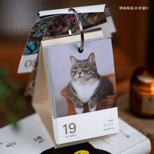 猫咪日历创意台历摆件
