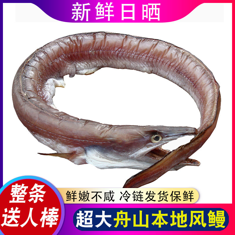 舟山特产整条风鳗微咸鳗筒2斤 鳗鱼干鳗筒美味鳗鱼鲞海鲜非干货