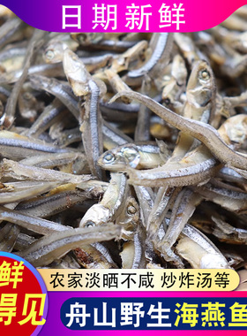 舟山特产海燕鱼干500g海蜒鱼干小鱼仔干丁香鱼鳀鱼海鲜干货银鱼干