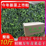 [【精品】宁波风味优质万年青10斤青菜干 嫩菜芯 脱水蔬菜干 干菜]