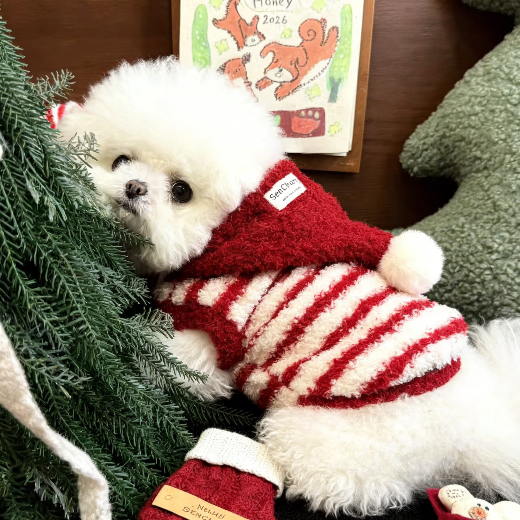 狗狗新春过年衣服比熊雪纳瑞小型犬加厚保暖宠物红色连帽保暖背心,宠物/宠物食品及用品,狗宠物服装/雨衣,淘宝优惠券,粉丝福利购,淘宝优惠卷